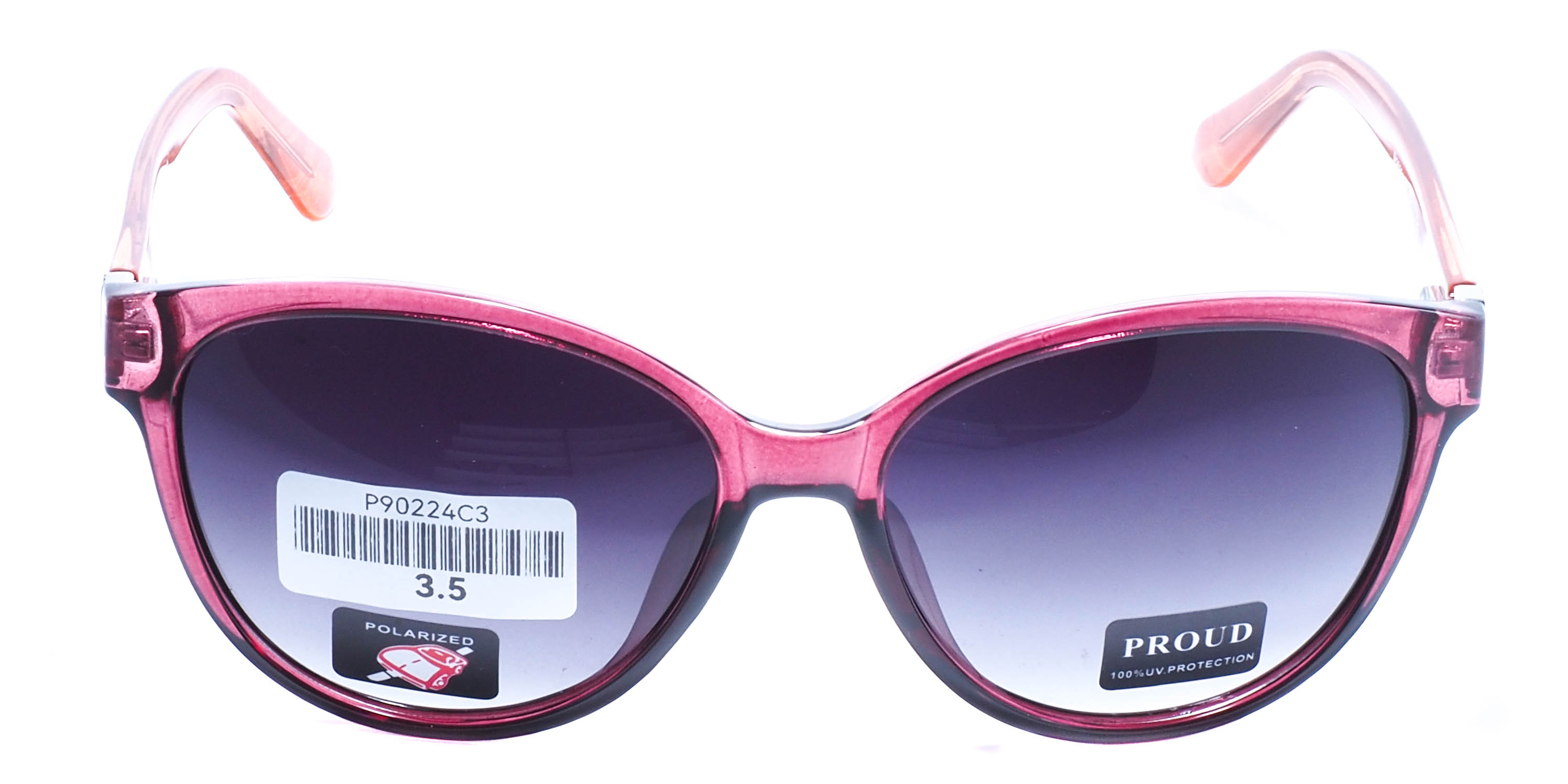 очки PROUD P90224 C1