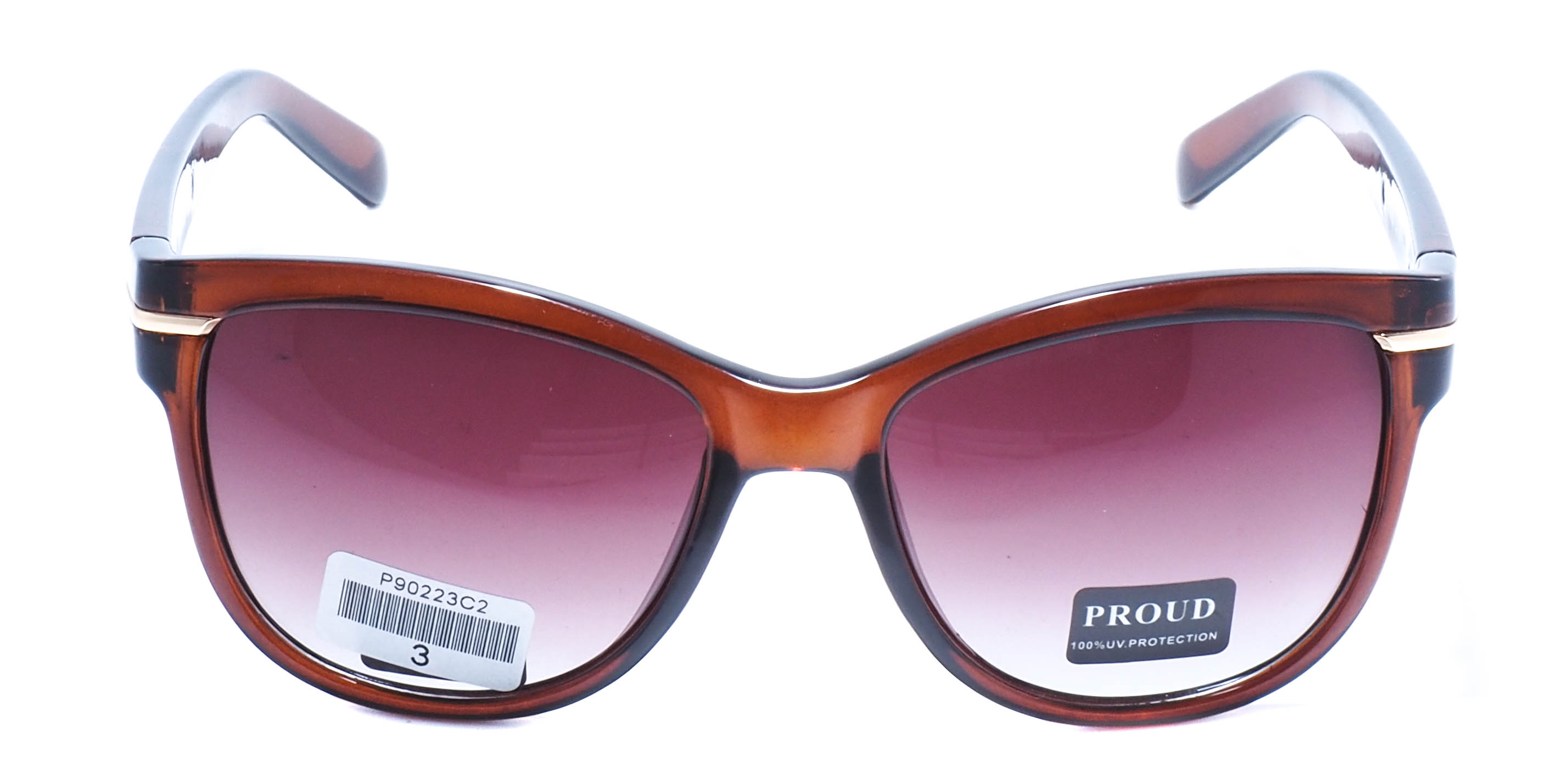 очки PROUD P90223 C2