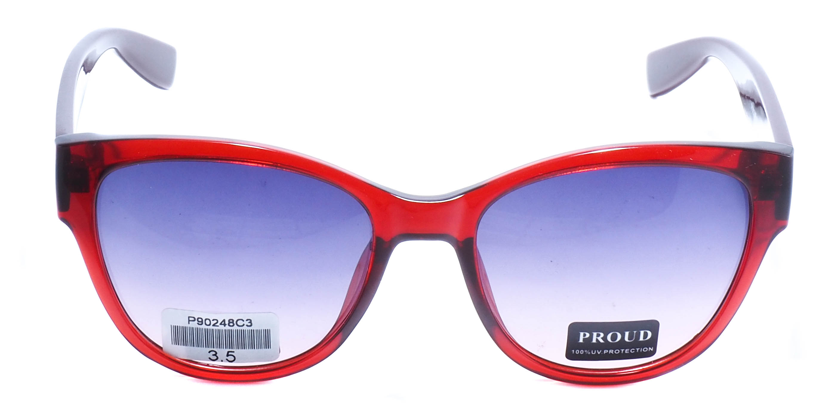 очки PROUD P90248 C3