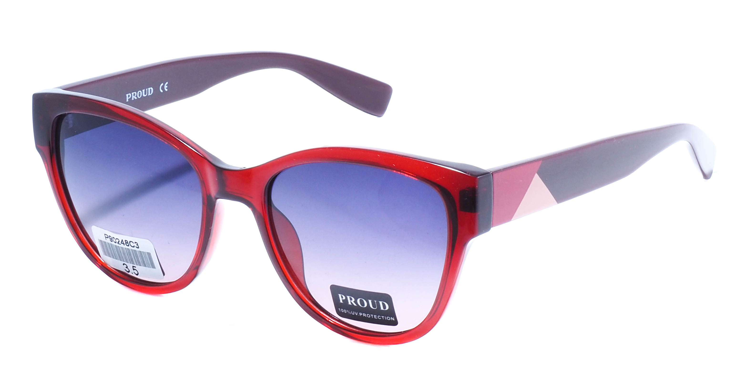 очки PROUD P90248 C3