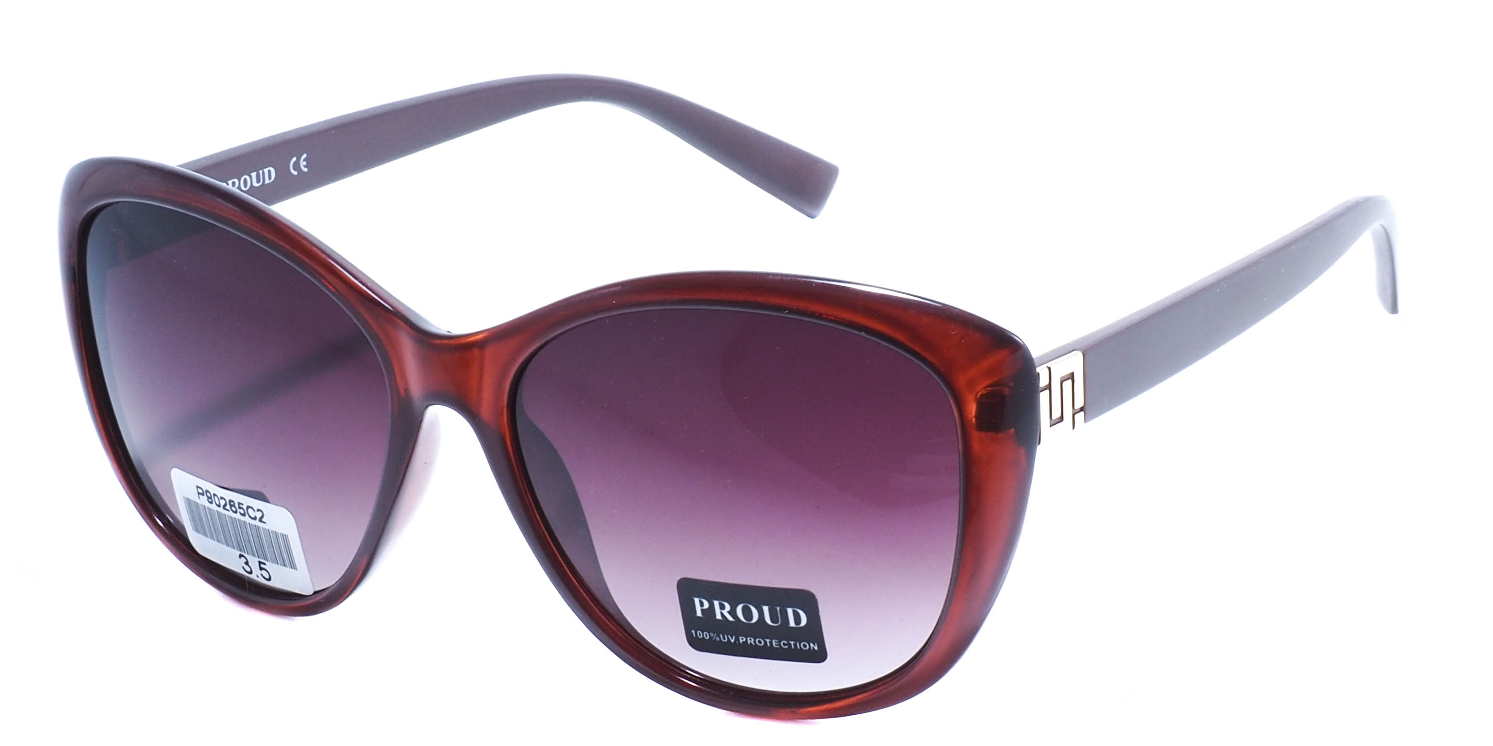 очки PROUD P90265 C2