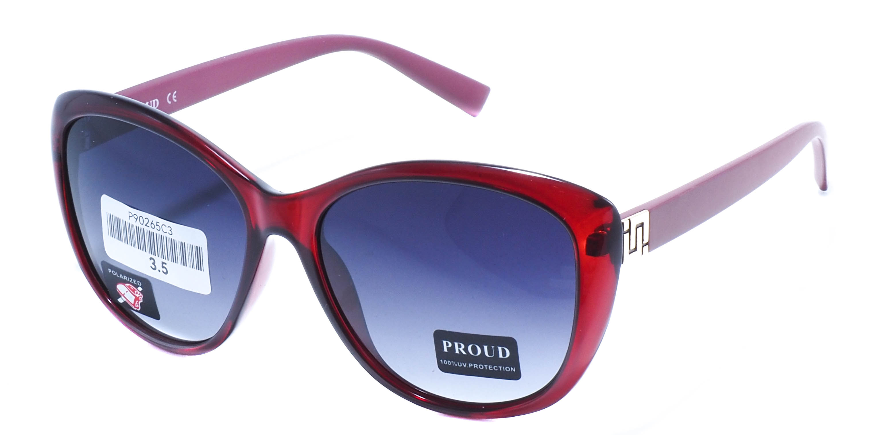 очки PROUD P90265 C3