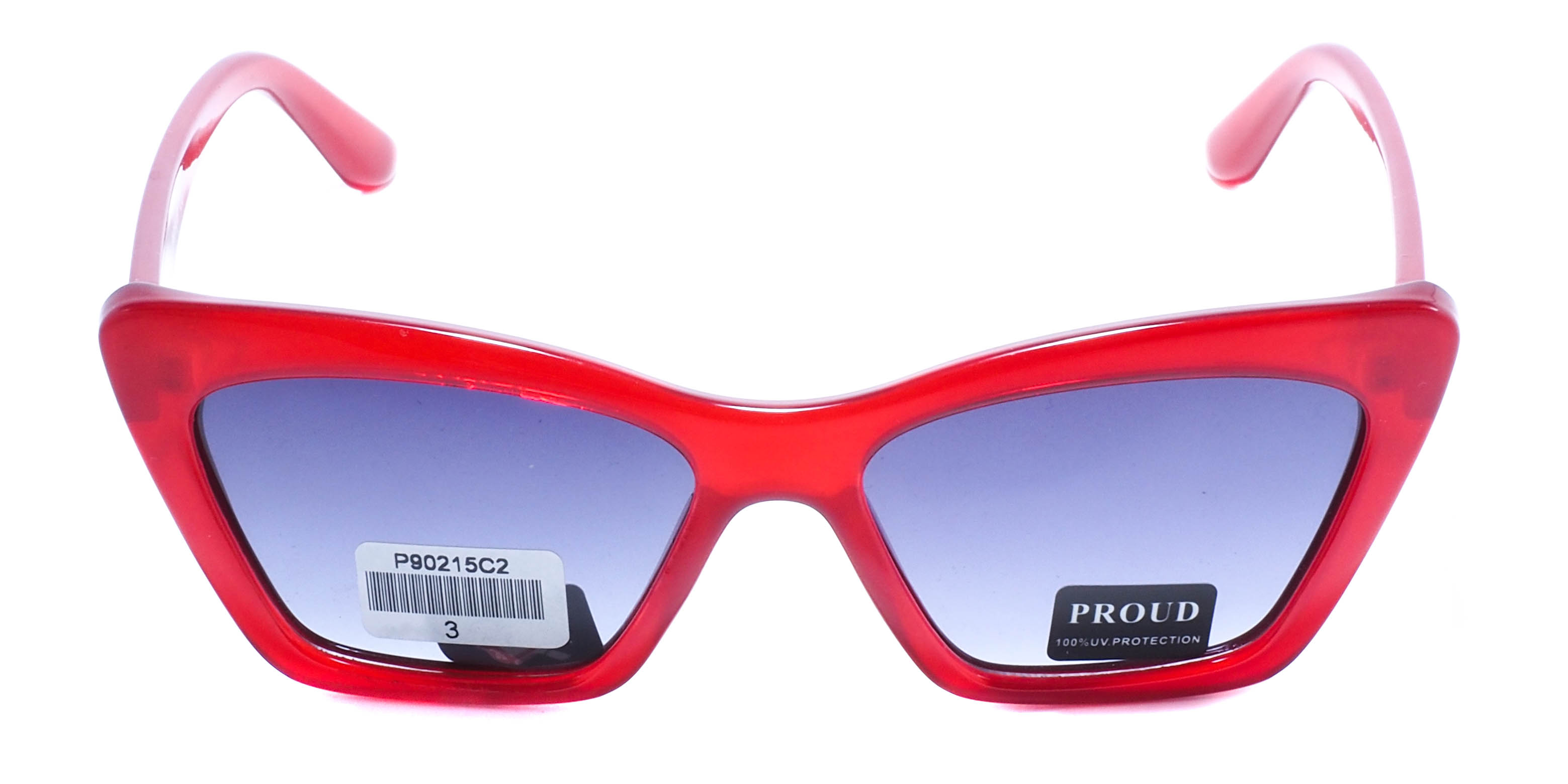 очки PROUD P90215 С2