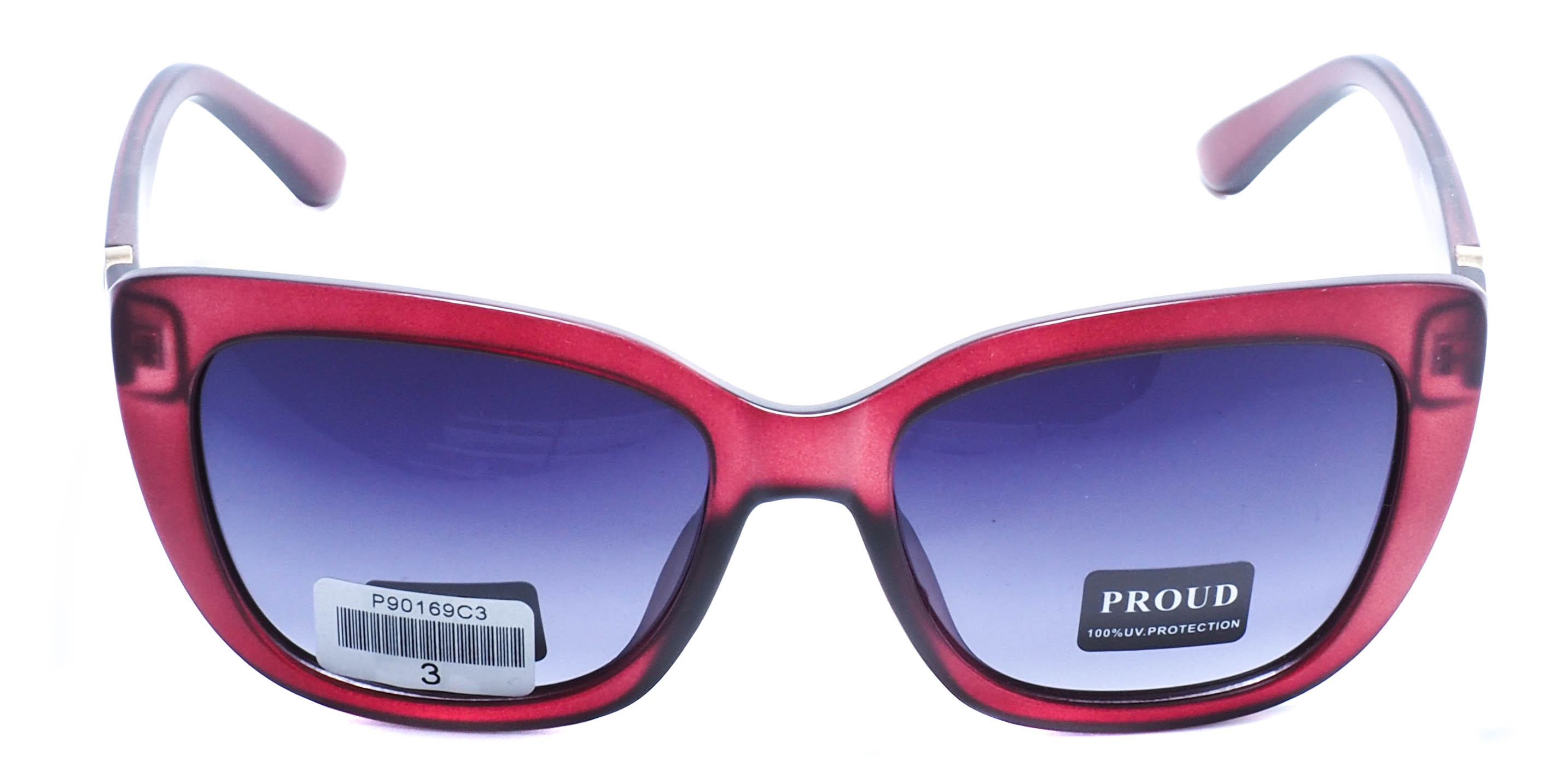 очки PROUD P90169 C3