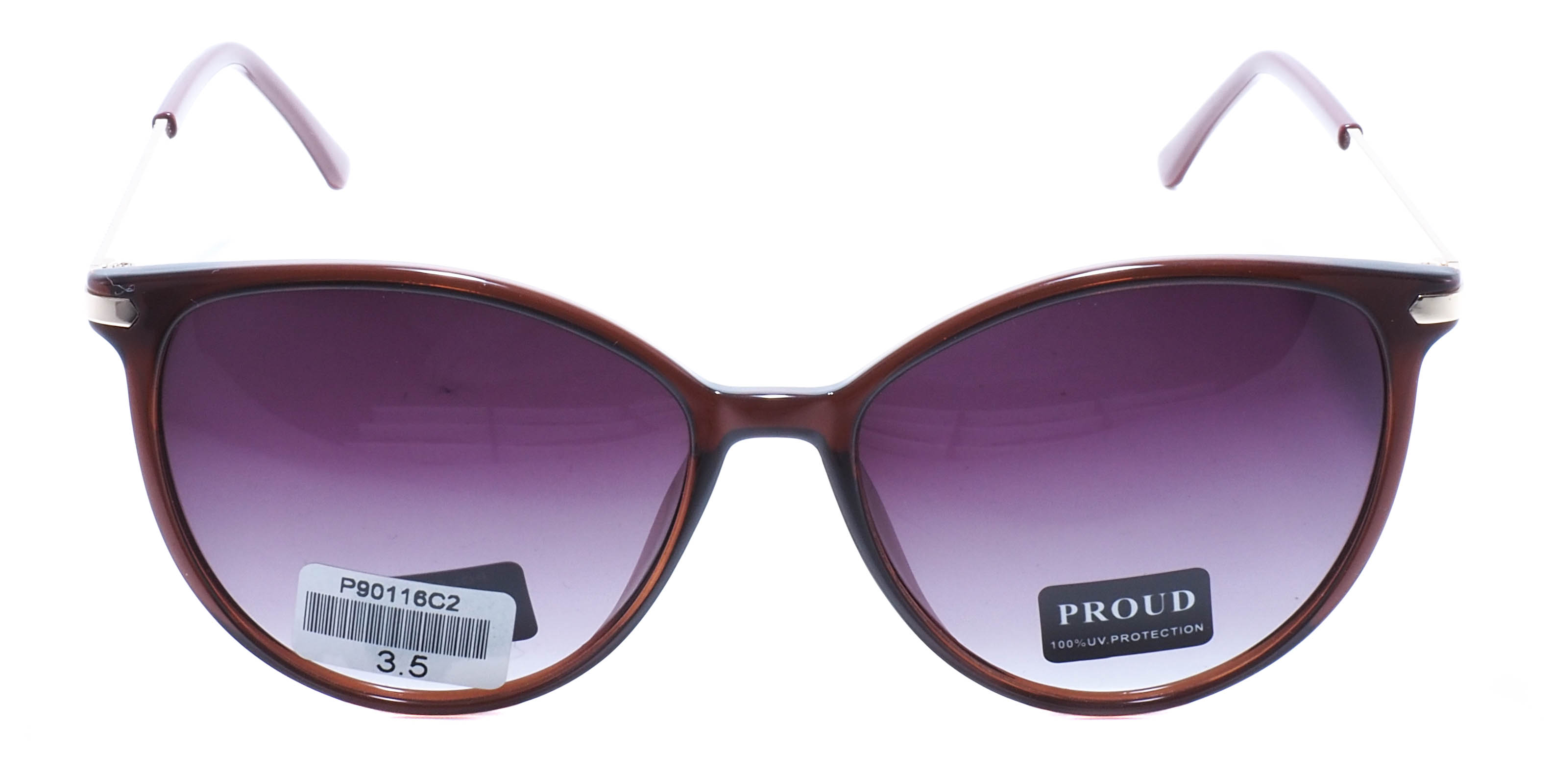 очки PROUD P90116 C2