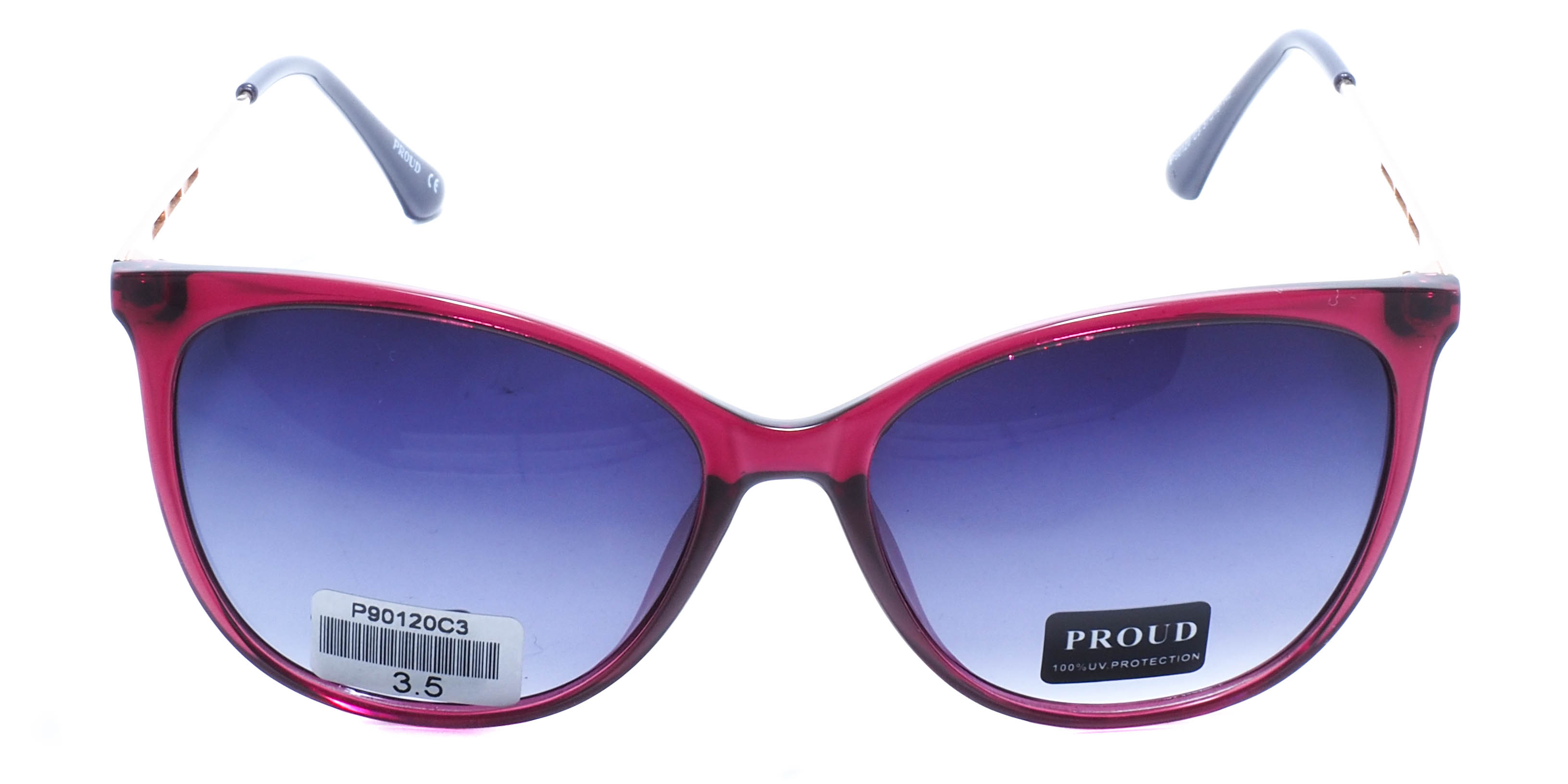 очки PROUD P90120 C3