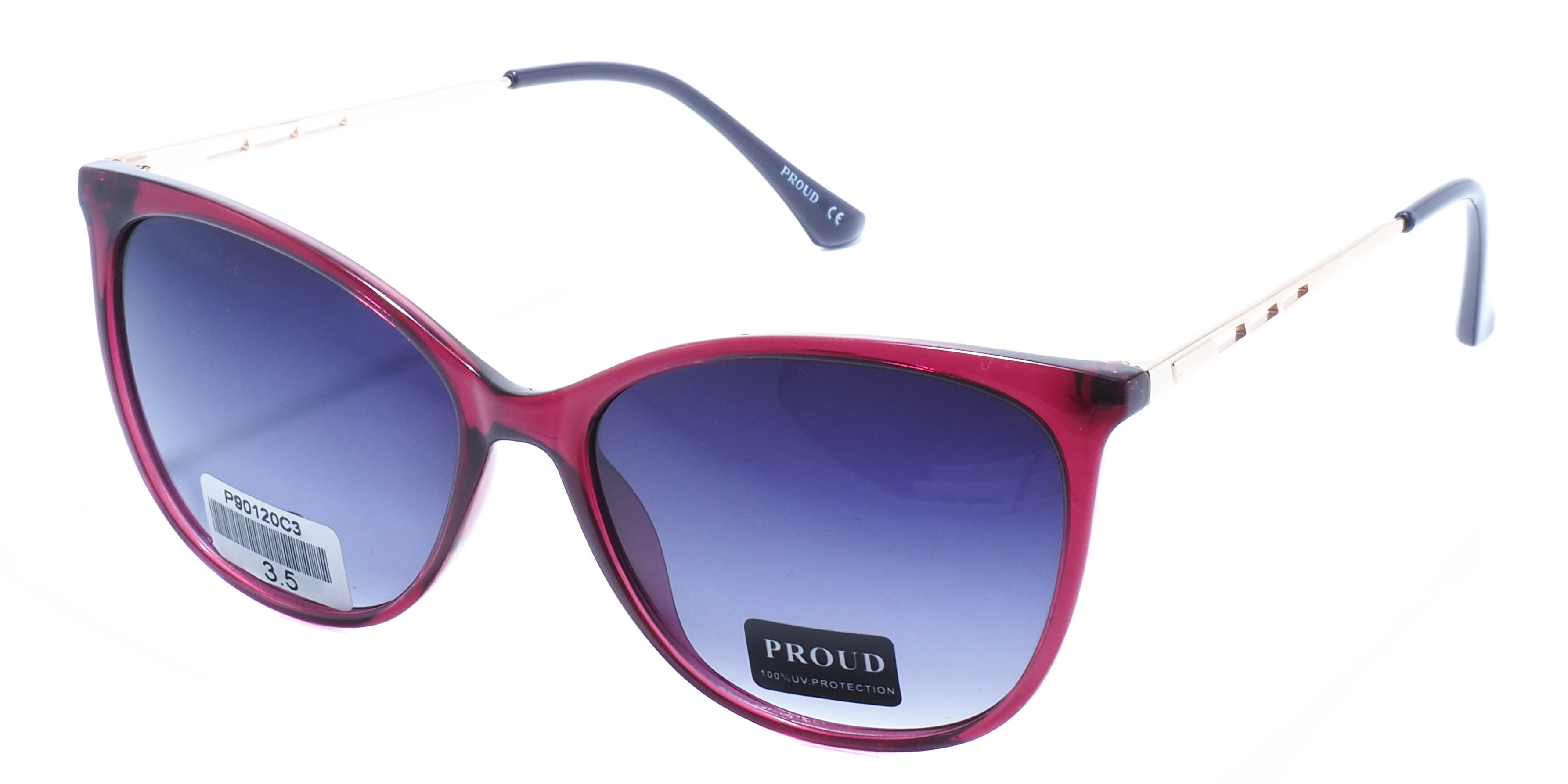очки PROUD P90120 C3