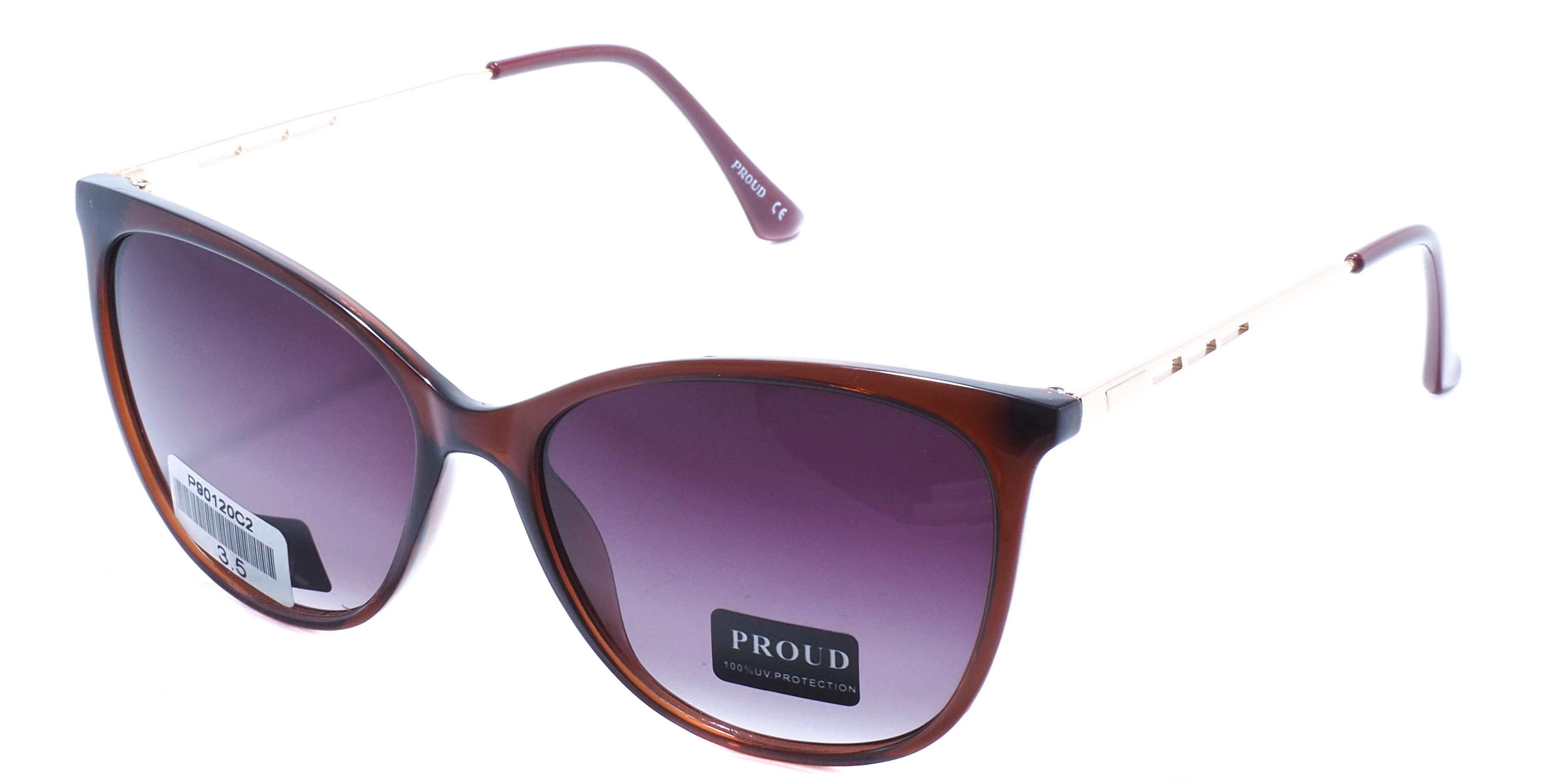 очки PROUD P90120 C2