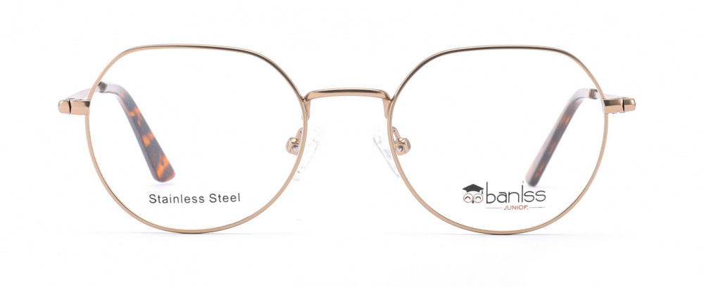 оправа BANISS BY1009 C04