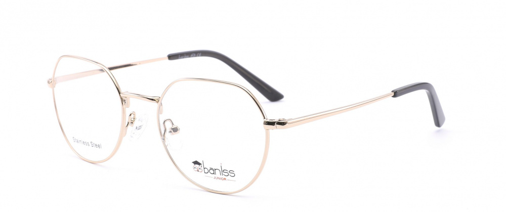 оправа BANISS BY1009 C03