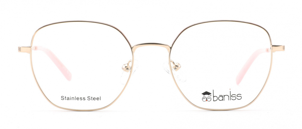 оправа BANISS BA2013 C01