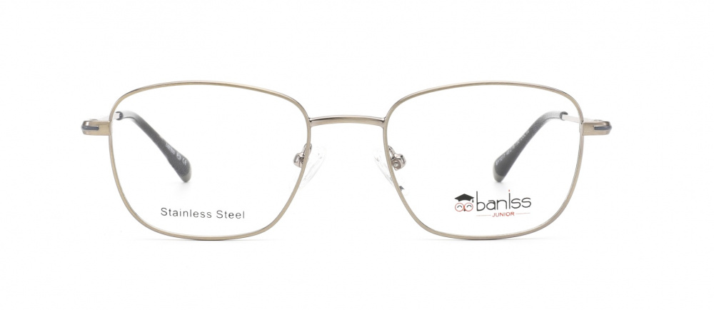 оправа BANISS BY1017 C02