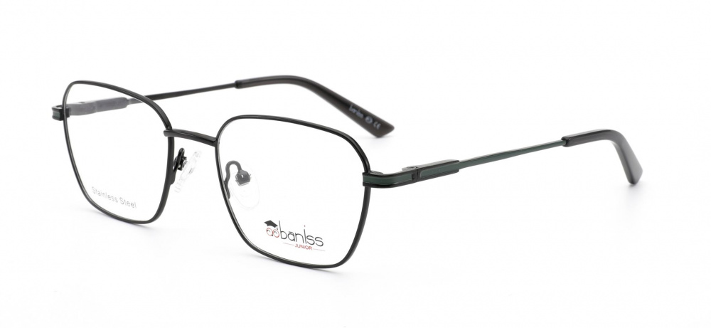 оправа BANISS BY1016 C02