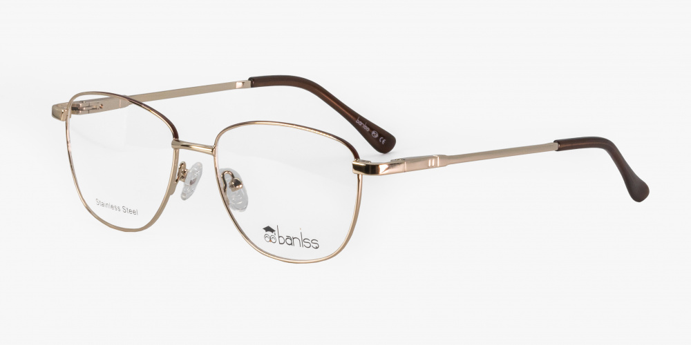 оправа BANISS BR5111 C02