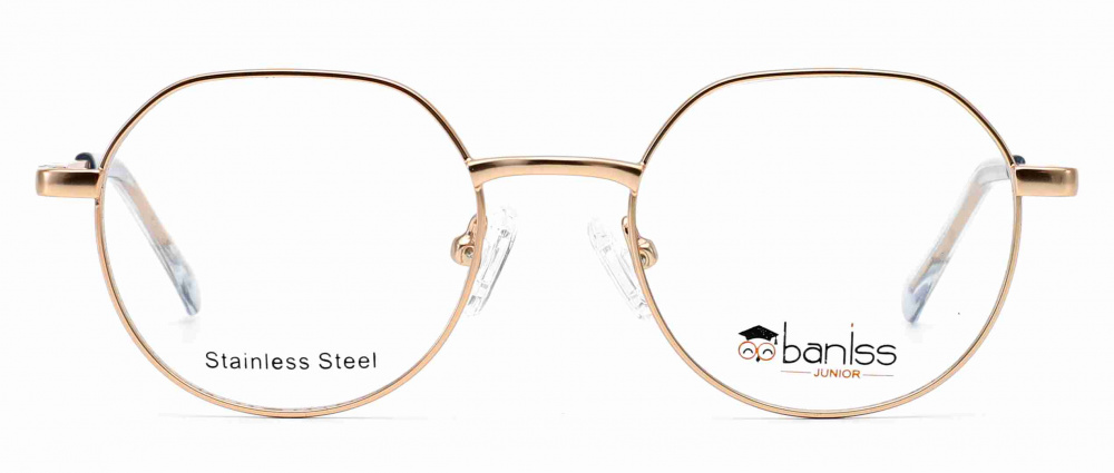 оправа BANISS BR2147 C01