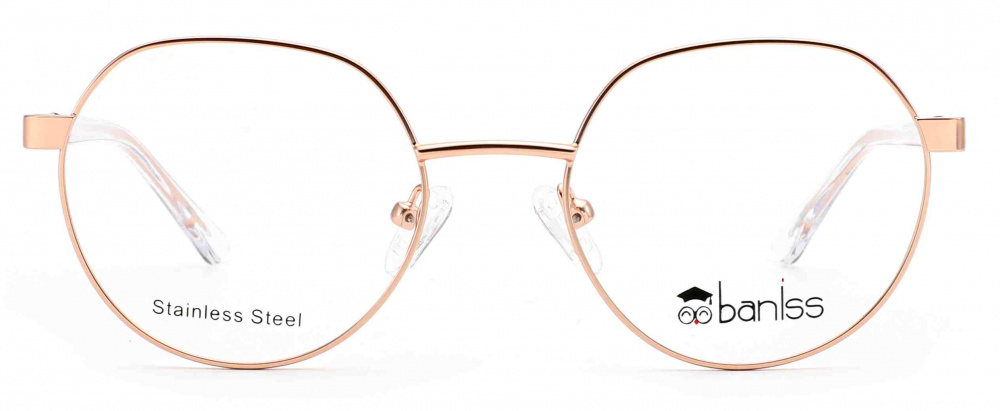 оправа BANISS BR5113 C02