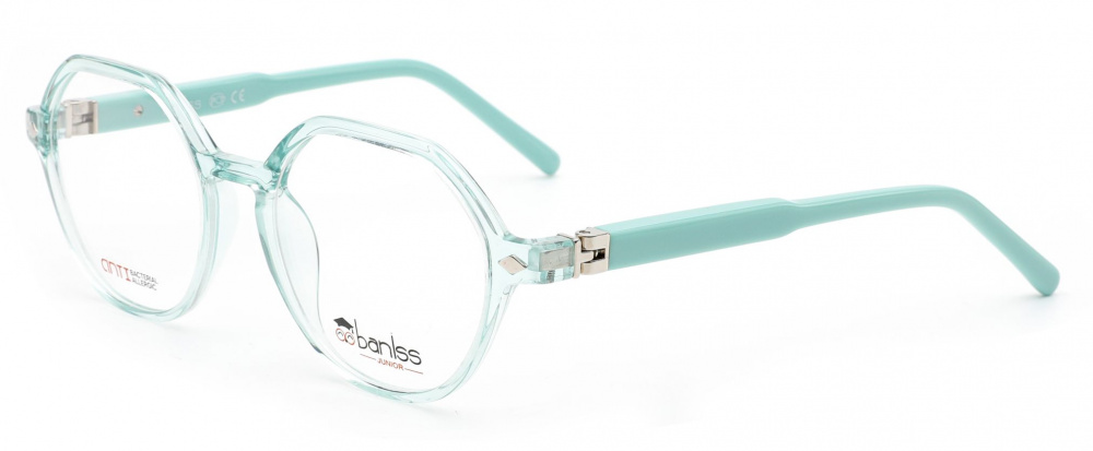 оправа BANISS BSJ5150 C02