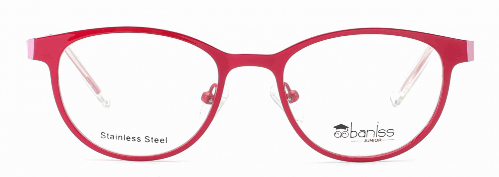 оправа BANISS BR5095 C03