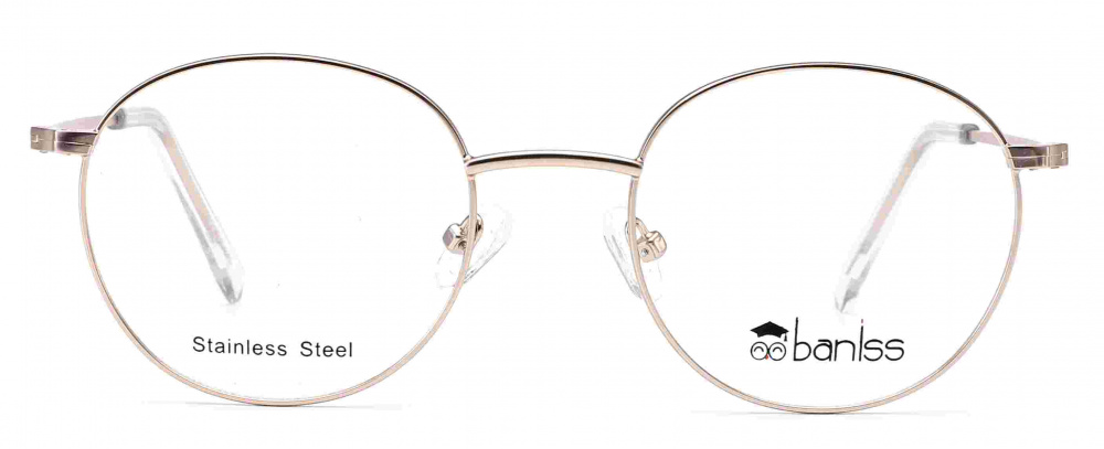 оправа BANISS BR7039 C02