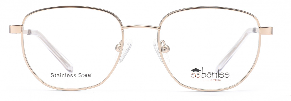 оправа BANISS BRJ2143 C02