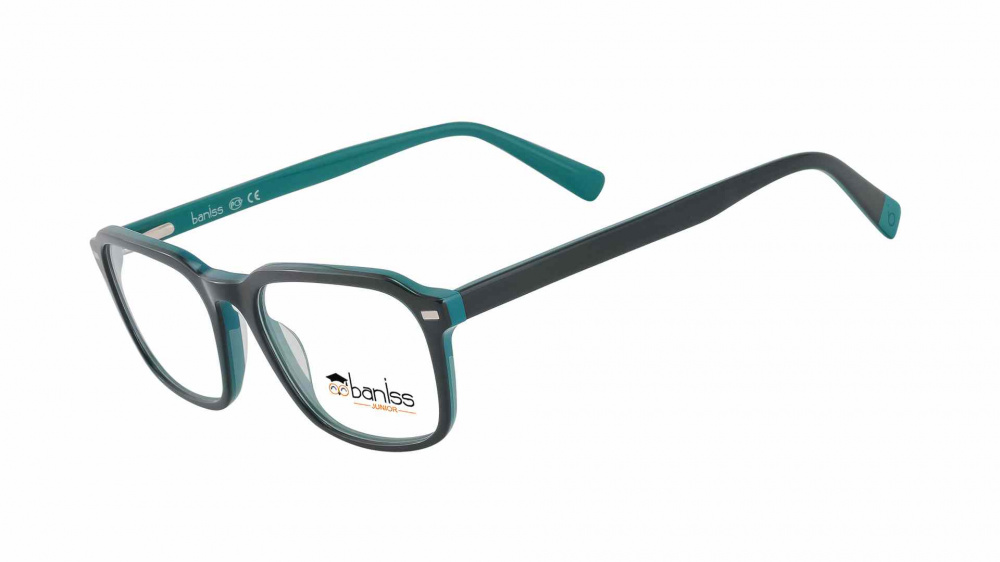 оправа BANISS BS8070 C03