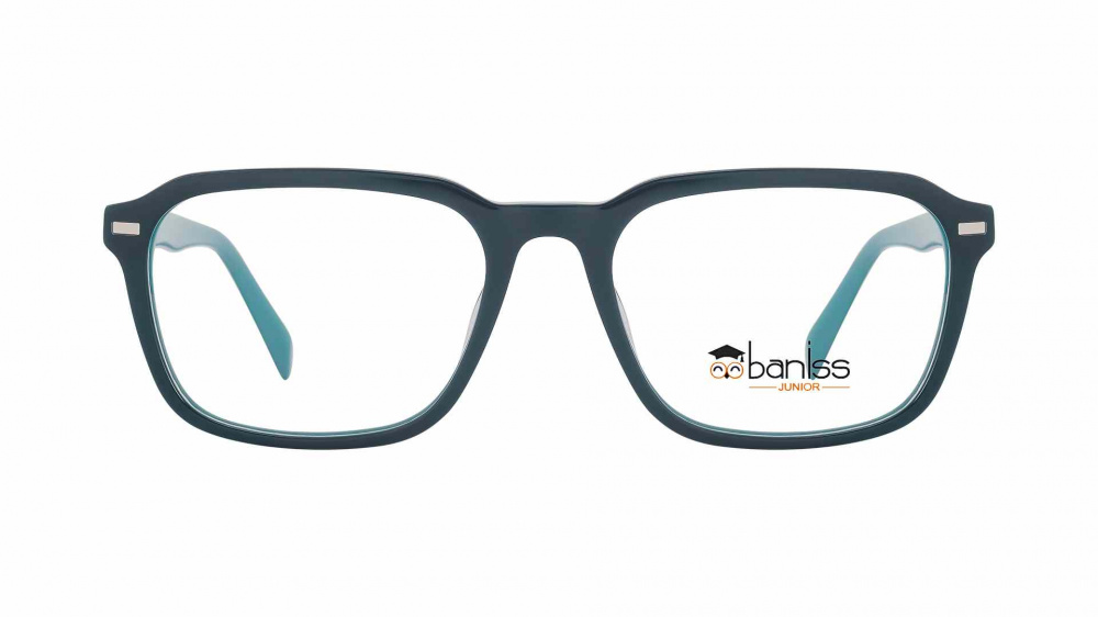 оправа BANISS BS8070 C03