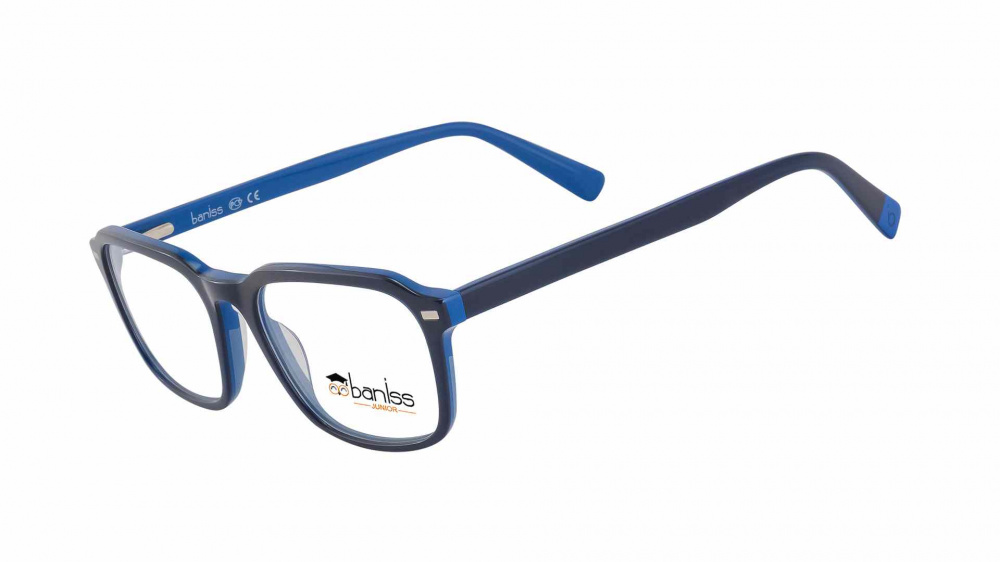 оправа BANISS BS8070 C02