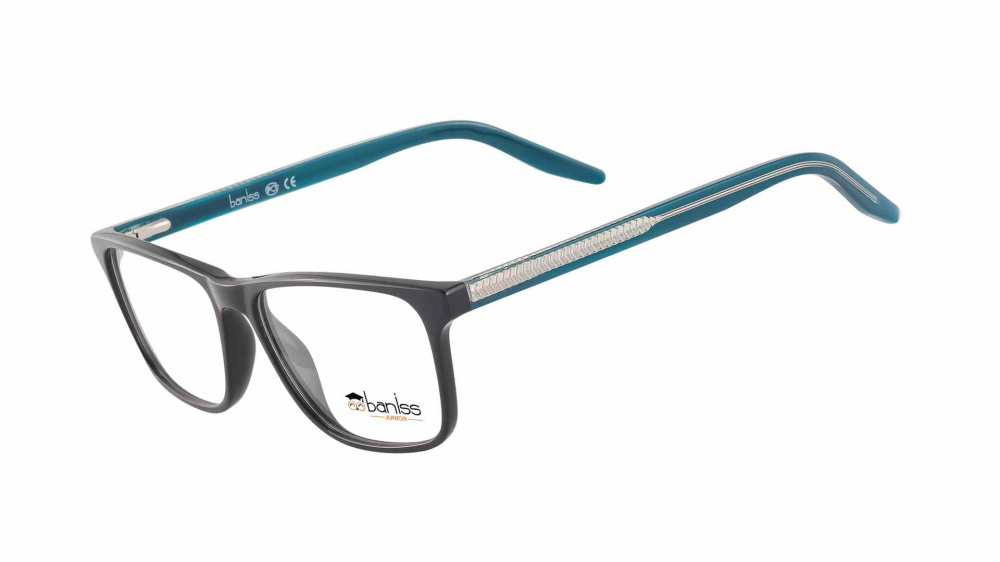 оправа BANISS BS8064 C01