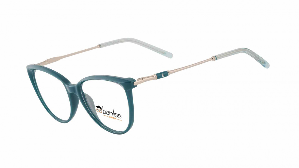 оправа BANISS BS7090 C02