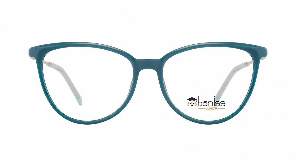 оправа BANISS BS7090 C02