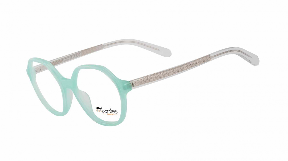 оправа BANISS BSJ6832 C04