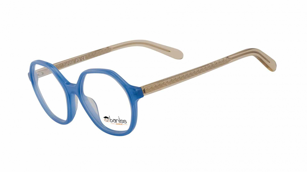 оправа BANISS BSJ6832 C02