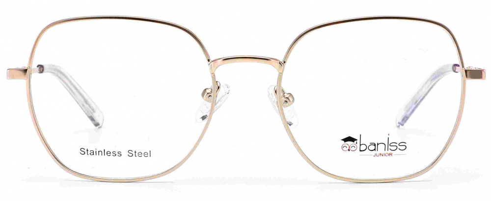 оправа BANISS BRJ2120 C03
