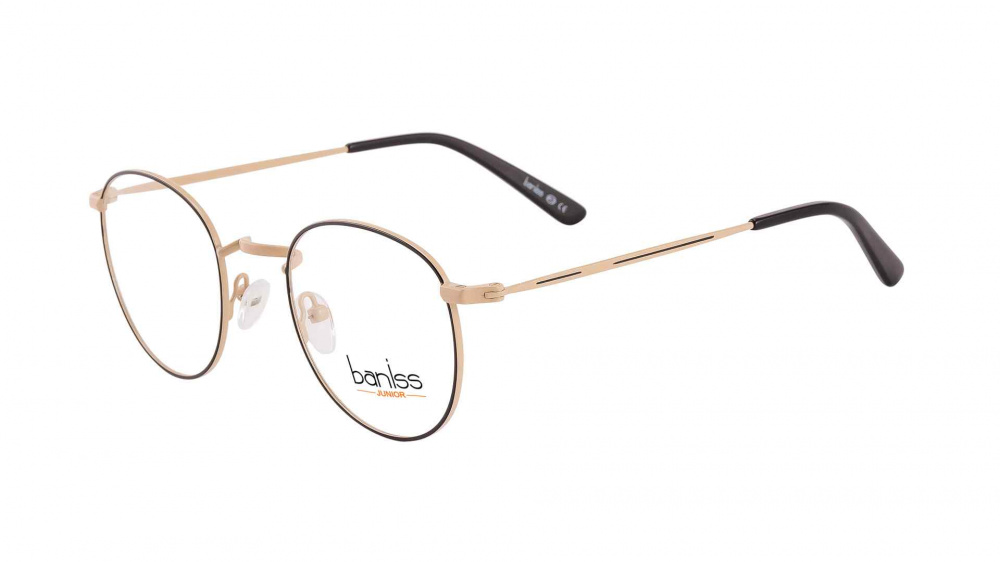 оправа BANISS BR5053 C03