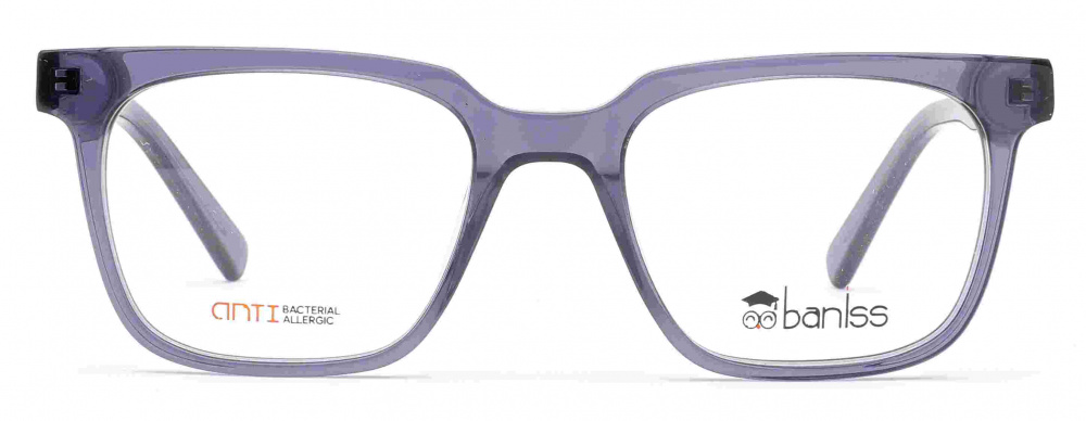 оправа BANISS BS8091 C02