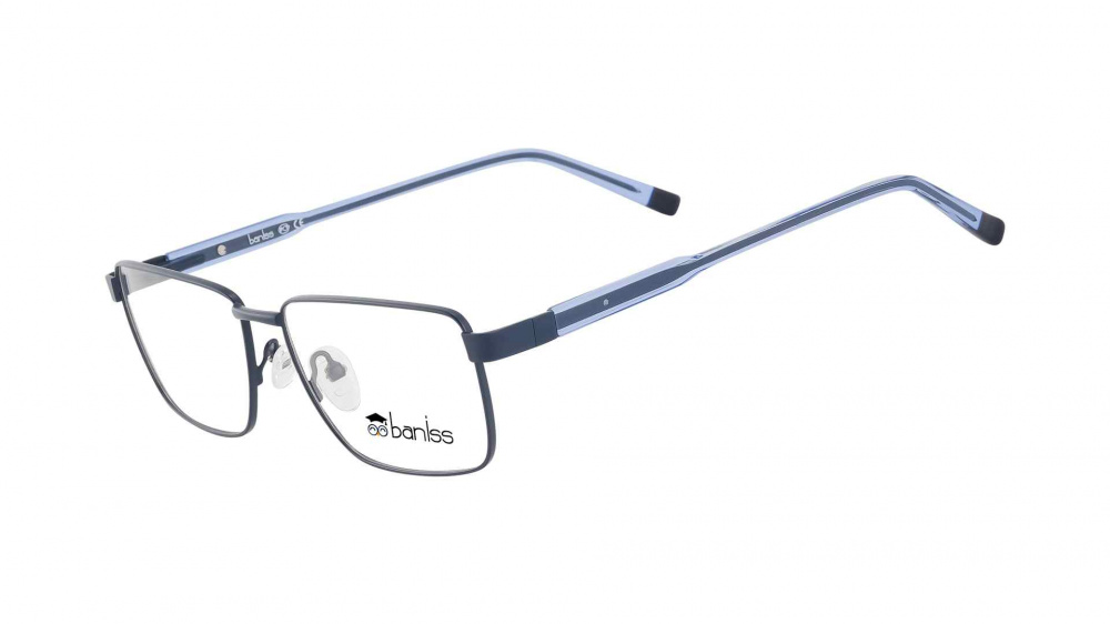 оправа BANISS BR6061 C02