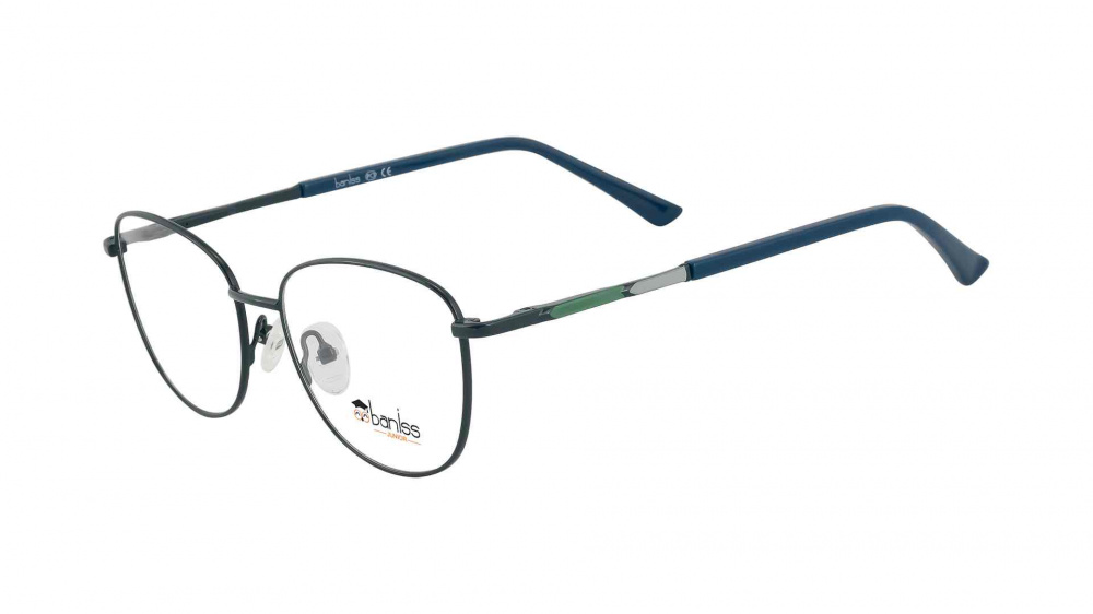 оправа BANISS BRJ2140 C03