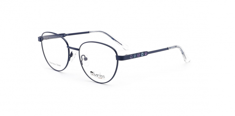 оправа BANISS BRJ2138 C03