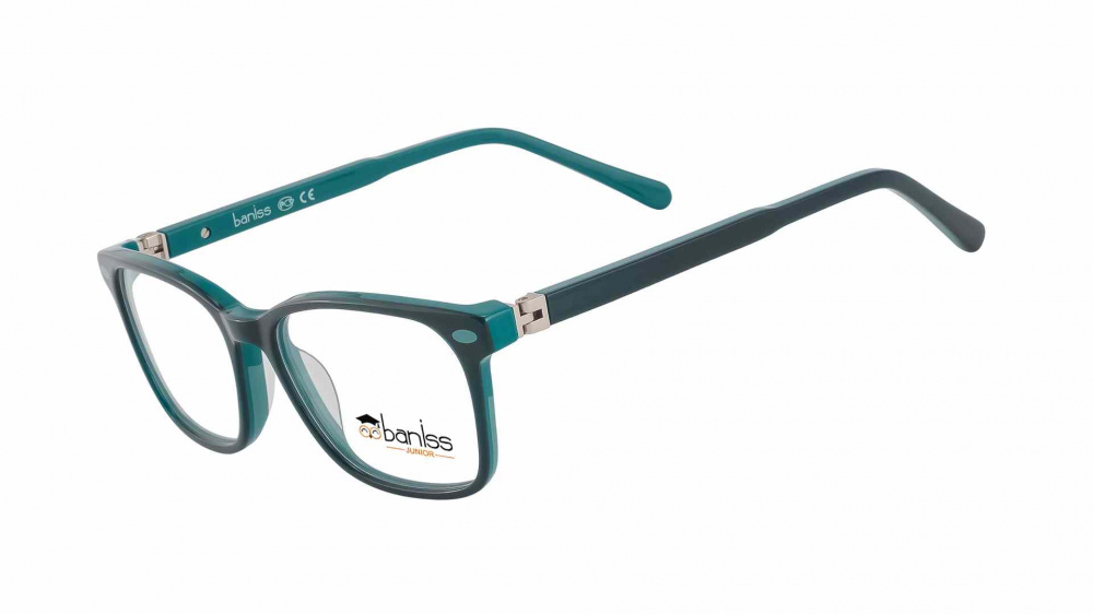 оправа BANISS BSJ6837 C03