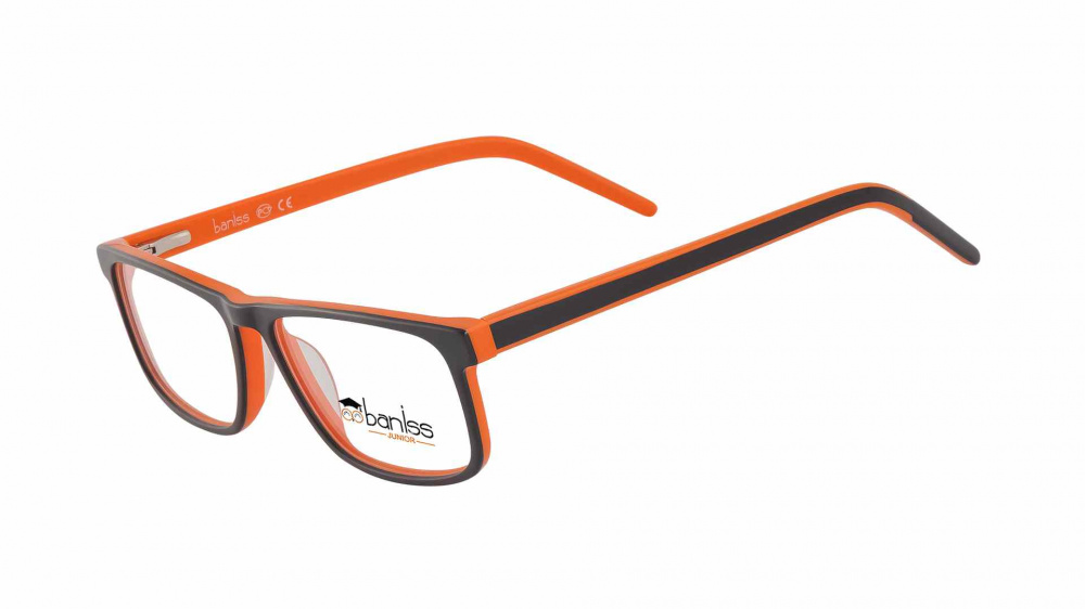 оправа BANISS BSJ6077 C01