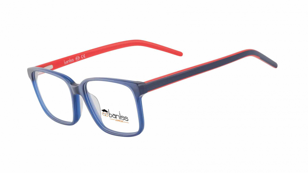 оправа BANISS BS8066 C03
