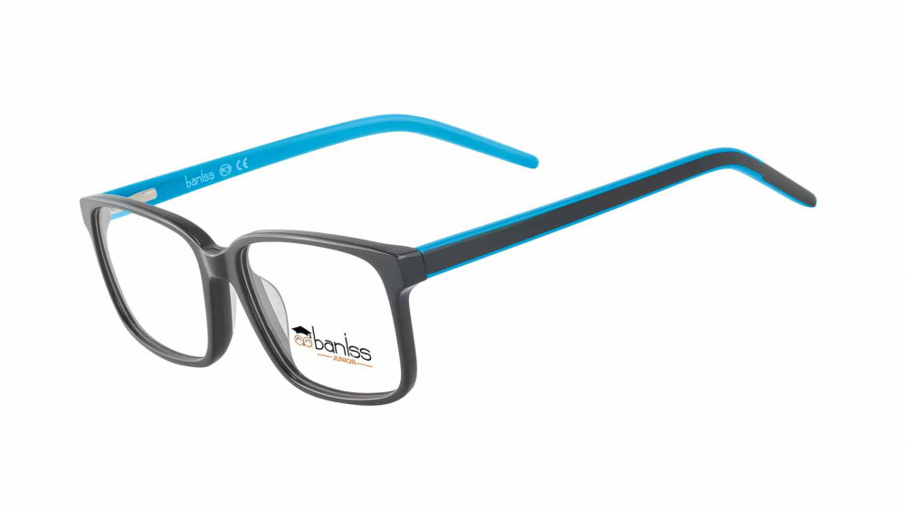 оправа BANISS BS8066 C02