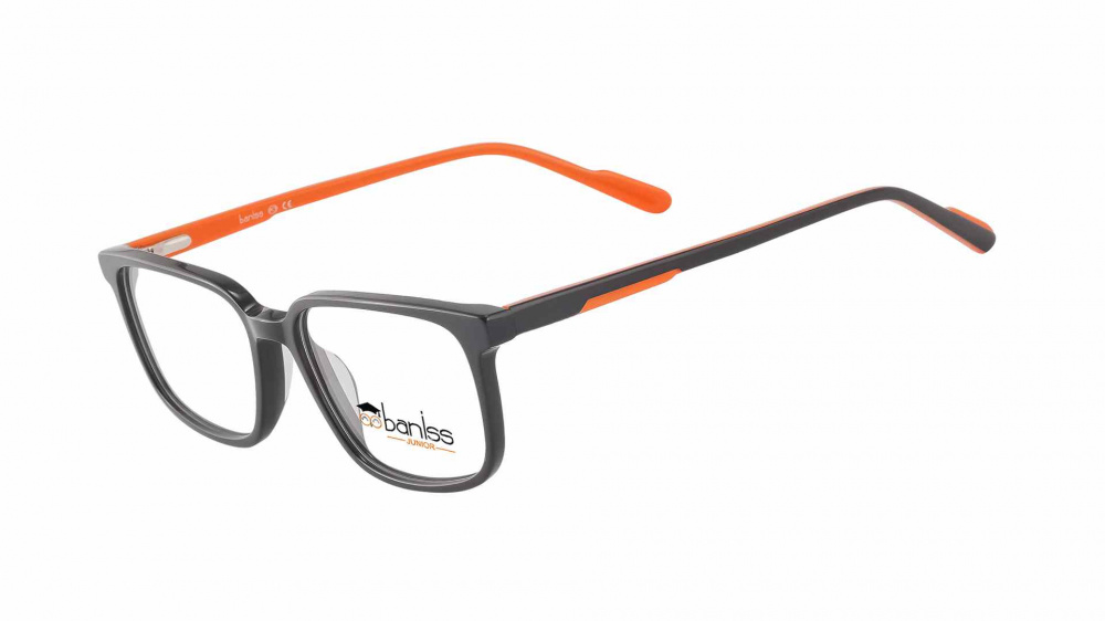 оправа BANISS BS8065 C01