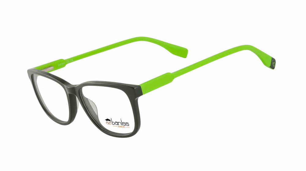 оправа BANISS BS9022 C03
