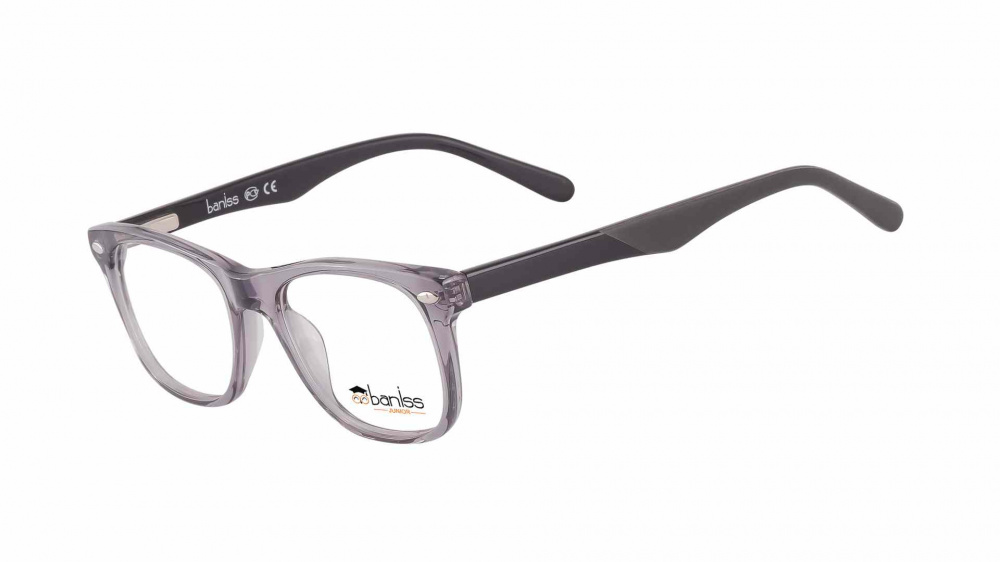 оправа BANISS BSJ6048 C04A