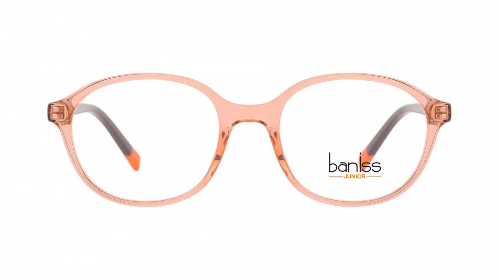оправа BANISS BSJ6824 C03
