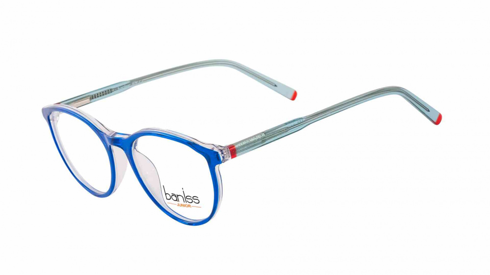 оправа BANISS BSJ6831 C02