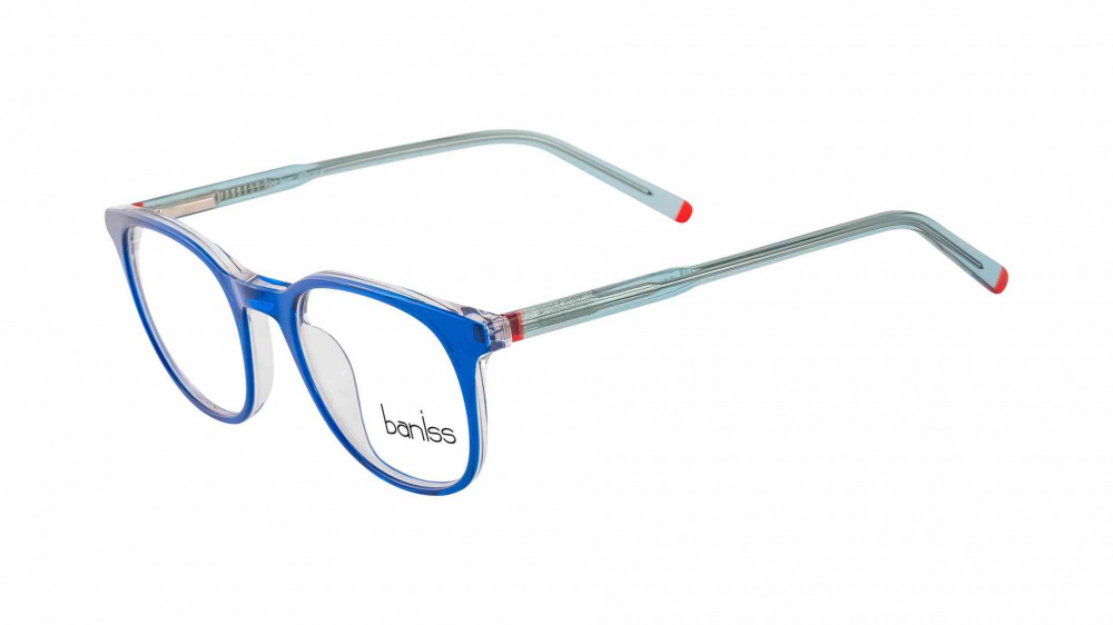 оправа BANISS BSJ6830 C02