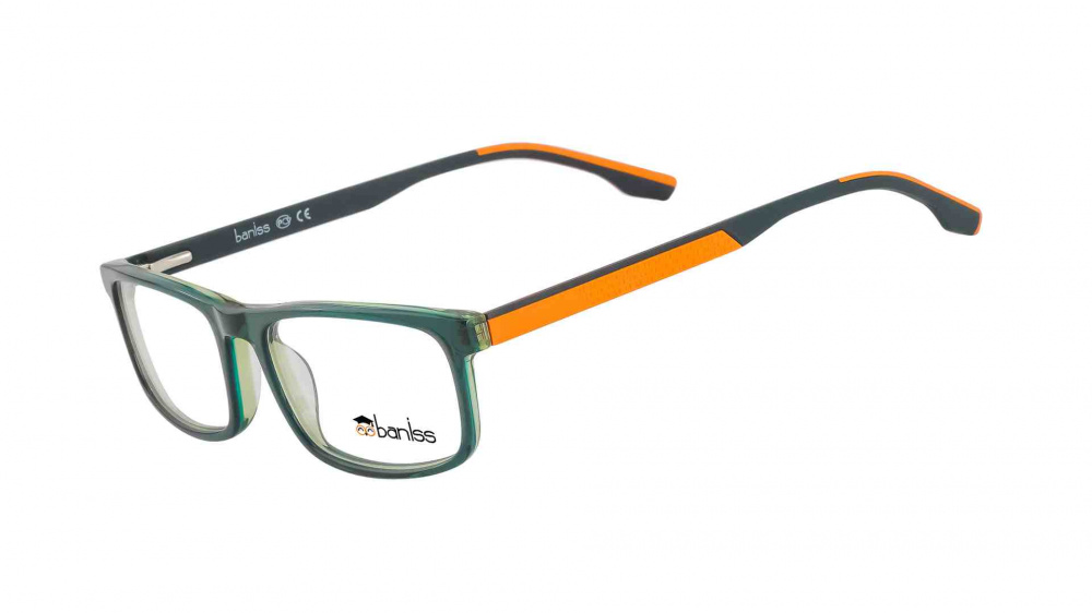 оправа BANISS BS8069 C03