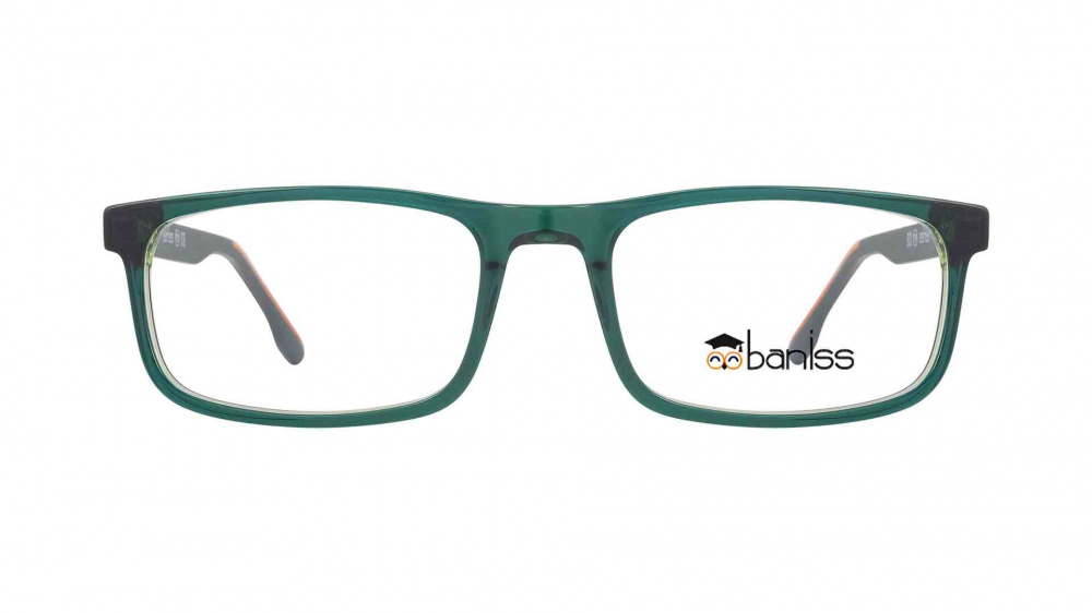 оправа BANISS BS8069 C03
